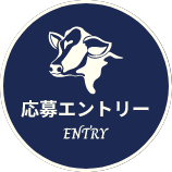 応募エントリー